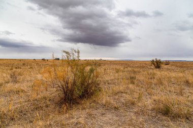 Mavi gökyüzü ve beyaz bulutların önünde sonsuz bozkırlar..
