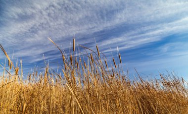 Mavi gökyüzü ve beyaz bulutların önünde güzel bir bulut.
