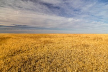 Mavi gökyüzü ve beyaz bulutların önünde sonsuz bozkırlar..