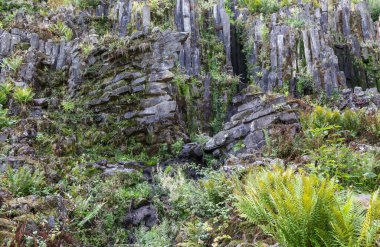 Taş oluşumlu güzel bir şelale ve yağmur ormanlarındaki bir dağda bitkiler..