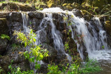 Taş oluşumlu güzel bir şelale ve yağmur ormanlarındaki bir dağda bitkiler..