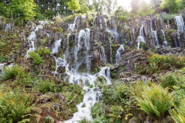 Taş oluşumlu güzel bir şelale ve yağmur ormanlarındaki bir dağda bitkiler..