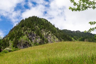 Allgau 'daki dağ manzarası. Bavyera 'da. Almanya.