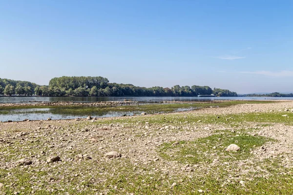 16 Ağustos 2018. Almanya 'da kuraklık. Ren nehrinin alçak suları Eltvile yakınlarında. Hesse, Almanya.
