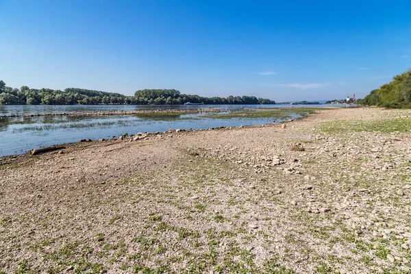 16 Ağustos 2018. Almanya 'da kuraklık. Ren nehrinin alçak suları Eltvile yakınlarında. Hesse, Almanya.