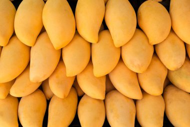Satılık bir pazarda olgun altın mango meyvesi
