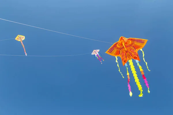 Mavi gökyüzünde uçan renkli Çin uçurtması.