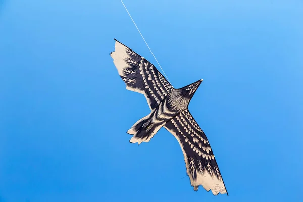 Mavi gökyüzünde uçan renkli Çin uçurtması.