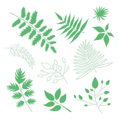 Yeşil vektör yaprakları kümesi, bitkisel element. Organik ürünler için izole bir işaret, sembol ve simge olarak kullanılabilir. Bahar botanik vektörü düz bitki illüstrasyonu koleksiyonu. Doldur ve okşa yaprakları.