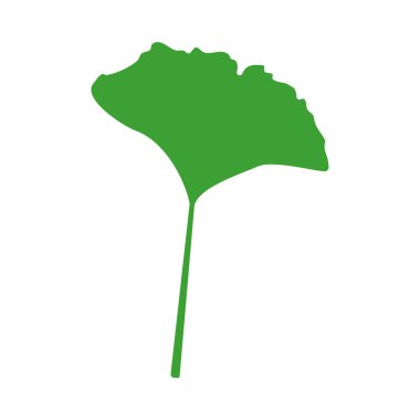 Botanik bitki vektörü düz ginkgo biloba illüstrasyonu. Orman tropik yeşil yaprak, bitkisel element. Stok vektör illüstrasyonu beyaz arkaplanda izole edildi. İşaret, sembol ya da simge olarak kullanılabilir.