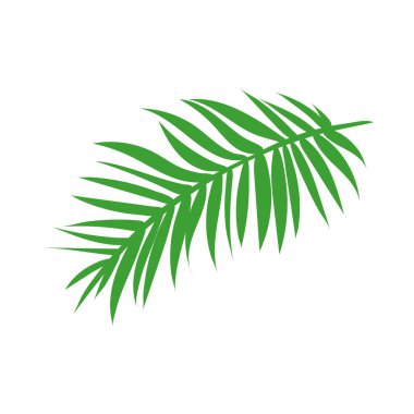 Orman veya yağmur ormanı tropikal yeşil yaprak, bitkisel element. Stok vektör illüstrasyonu beyaz arkaplanda izole edildi. İzole edilmiş bir işaret, sembol ya da simge olarak kullanılabilir. Botanik bitkisi düz vektör palmiye yaprağı
