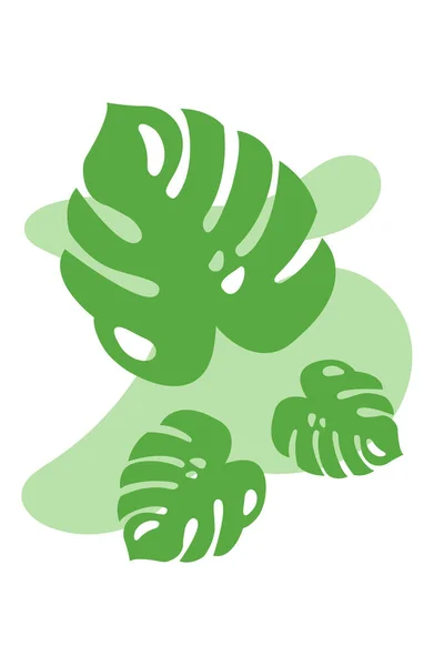 Panji Tanaman Alami Dengan Daun Monstera Hijau Poster Botani Latar - Stok Vektor