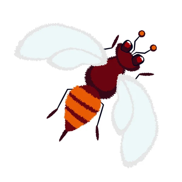 スズメバチ バンブルビー ふわふわの食感のかわいい昆虫 白い背景に独立したストックベクトルイラスト 翼を持つ蜂 オレンジとブラウンの色で包み込みます 昆虫研究のため — ストックベクタ