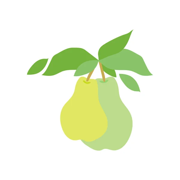 果梨枝 在白色背景上孤立的种群向量说明 两片梨子挂在枝叶上 采购产品食品装饰 扁平的食品插图 健康饮食 — 图库矢量图片