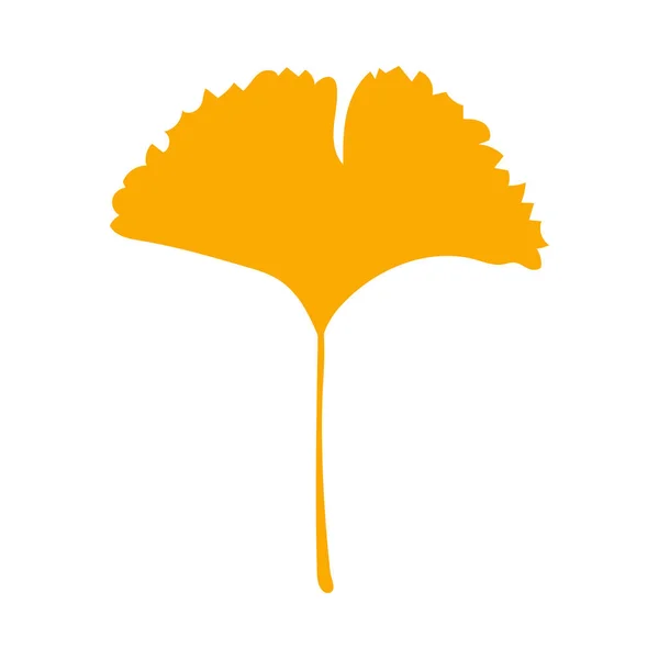 秋の葉 ハーブの要素 秋のオレンジ銀杏の葉 アイコンとして使用できます 秋の植物ベクトルフラット植物要素 銀杏のビロバ 白を基調としたストックイラスト — ストックベクタ
