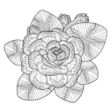 soyut siyah ve beyaz sanat tasarımı egzotik doğal çiçek, dikişsiz vektör grafik, desenli desenli desenli desenli desenli desenli desenli desenli desenli desenli desenli desenli desenli desenler, vektör.