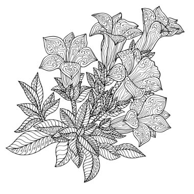 soyut siyah ve beyaz sanat tasarımı egzotik doğal çiçek açan petunya dikişsiz vektör grafik desenli dekoratif desenli desenli desenli desenli desenli desenli desenli desenli desenli desenli desenli desen, vektör