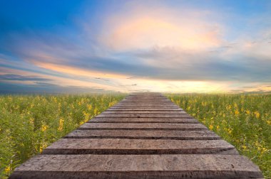 uzun ahşap köprü ve güzel güneş ışığı ve çiçek, seçici fo