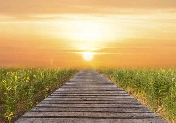 Puente de madera larga y hermosa luz del sol y flor, selectivo fo —  Fotos de Stock