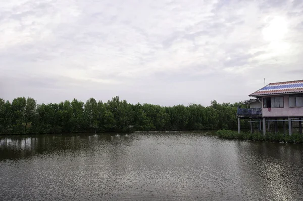 Eski waterfront ev mavi gökyüzü, seçici odak ile