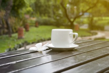 bir fincan kahve ile bulanık güneş ışığı, güneşli bir gün, bahçede