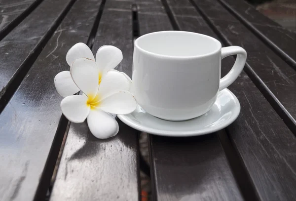Чашка кави в саду з сонячним світлом в сонячний день, розмита — стокове фото