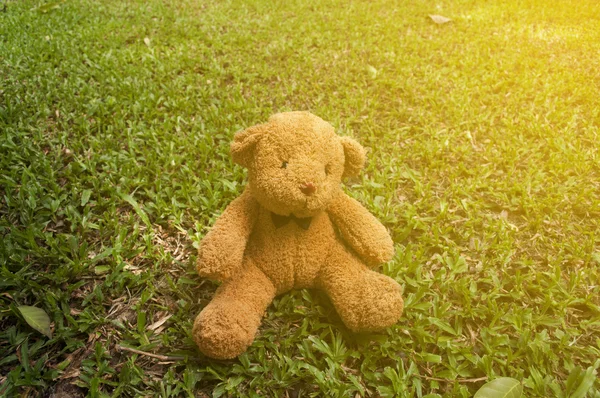 Лялька коричневого кольору сидить на траві в саду в сонячний день з кольором — стокове фото
