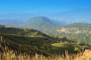 dağ ve bulut, bulanık bakış