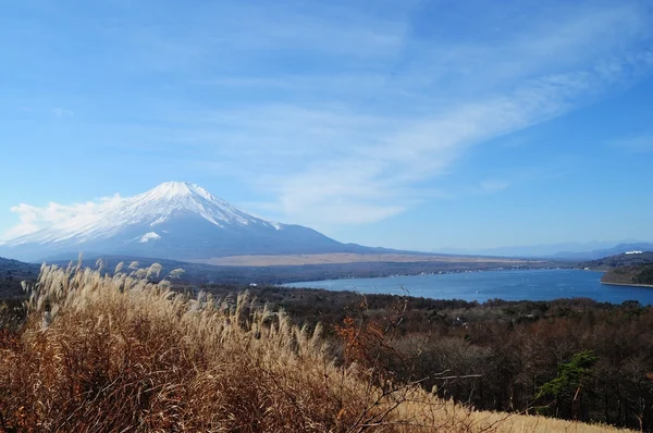 秋の Okuniwa 自然公園の選択と集中 — ストック写真