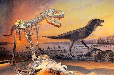 Drumheller, Alberta 'daki Royal Tyrrell Müzesi' nde dinozor fosil sergisi. Müze paleontoloji araştırmalarıyla ünlüdür.