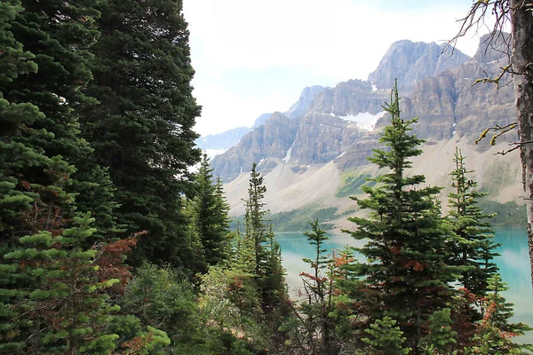 Mirrored Blue Mountain Lake Backdrop Majestic Rocky Mountains Green Fir — Stock Photo, Image