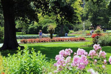 Kamu Bahçelerinde güzel bir çardak