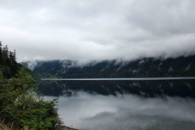 Dağ Ormanı Göl manzarası