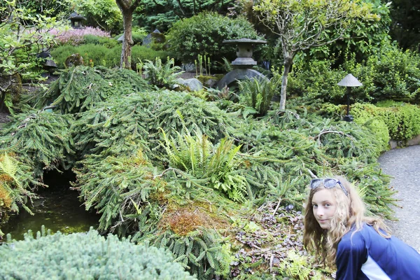 Giardini Botanici Vandusen Nella Città Vancouver — Foto Stock