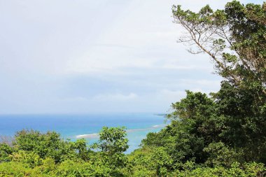 Jamaika, Mystic Mountain 'ın tepesinden Ocho Rios hava görüntüsü.