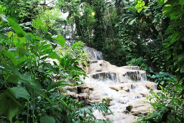 Bela Natureza Verde Fresco Paisagem Cênica Cachoeira Selva Tropical — Fotografia de Stock