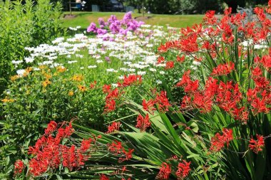 Spring Garden Yolu 'ndaki Halk Bahçeleri' nde alt yataklar..