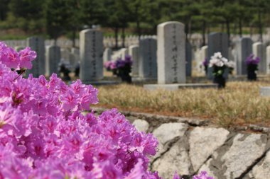 Resmi bir atmosferi olan Ulusal Mezarlık