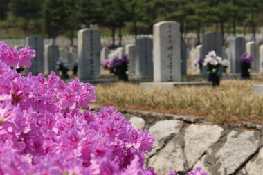 Resmi bir atmosferi olan Ulusal Mezarlık