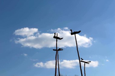 Kore saraylarında çeşitli görüntüler.