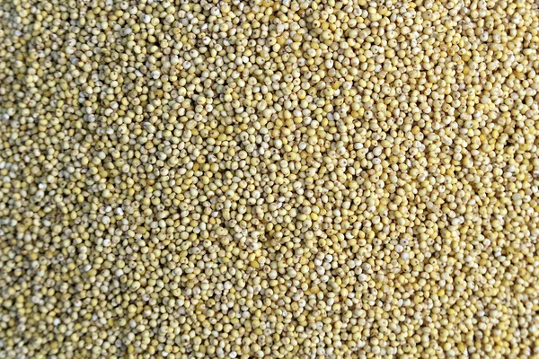 Sağlığınıza iyi gelen çeşitli taneler