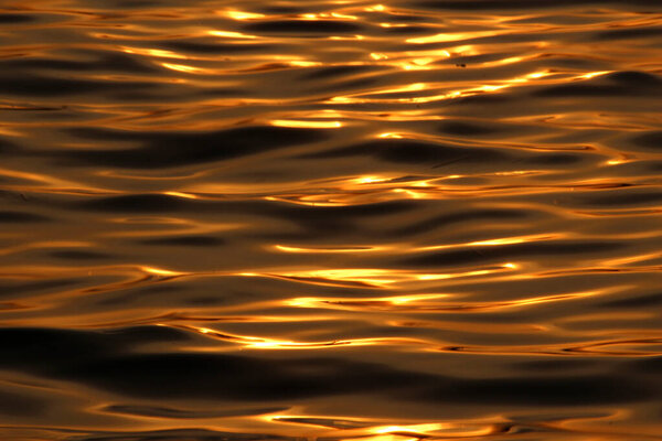 River water shining in gold at sunset