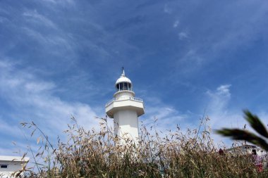 Marado 'nun çeşitli yönleri