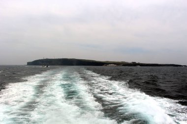 Marado 'nun çeşitli yönleri