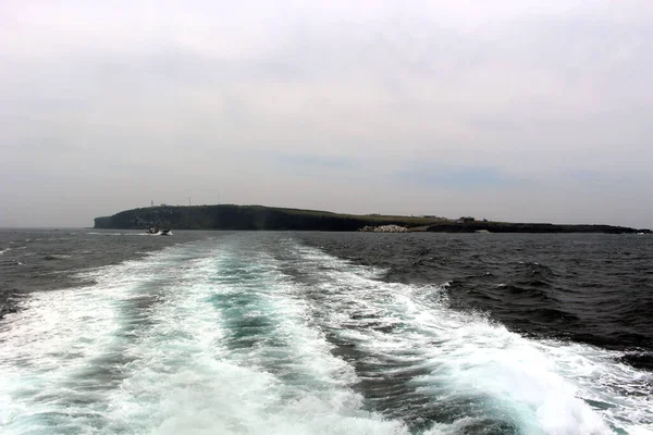 Marado 'nun çeşitli yönleri