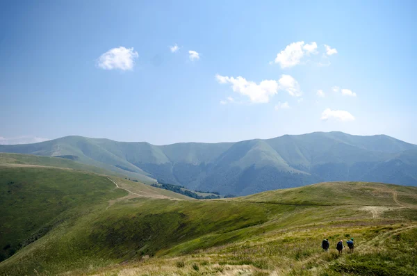 Montagne carpatiche paesaggio estivo con verdi colline soleggiate wi — Foto Stock