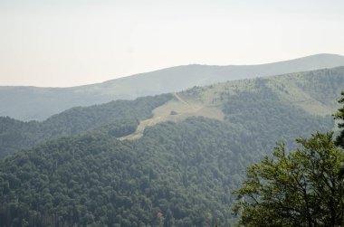 Yeşil güneşli, Karpat Dağları yaz yatay wi hills