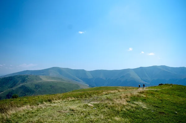 Karpaty letní krajina s zelenou slunné kopce wi — Stock fotografie