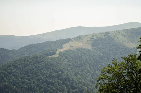 喀尔巴阡山夏日风景与绿色阳光山无线 — 图库照片