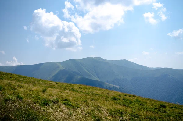 Karpaten zomer landschap met groene zonnige heuvels wi — Stockfoto
